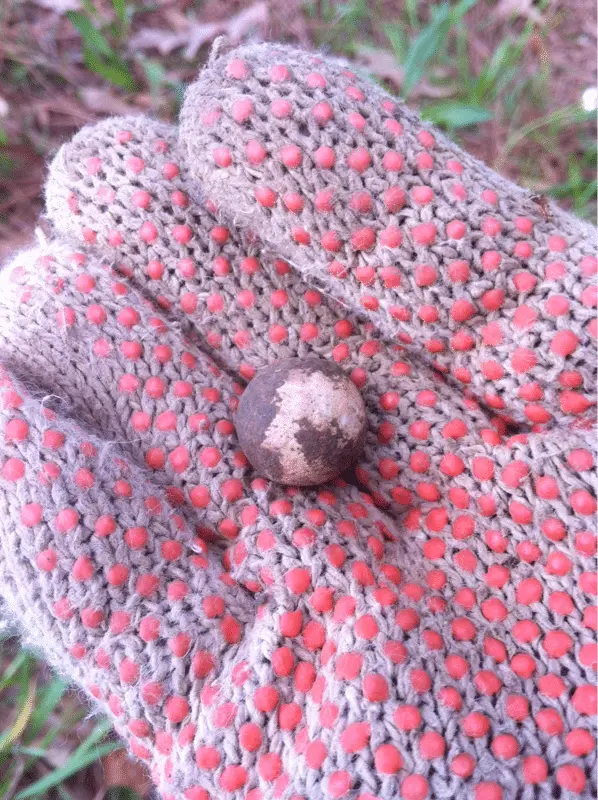 Round ball