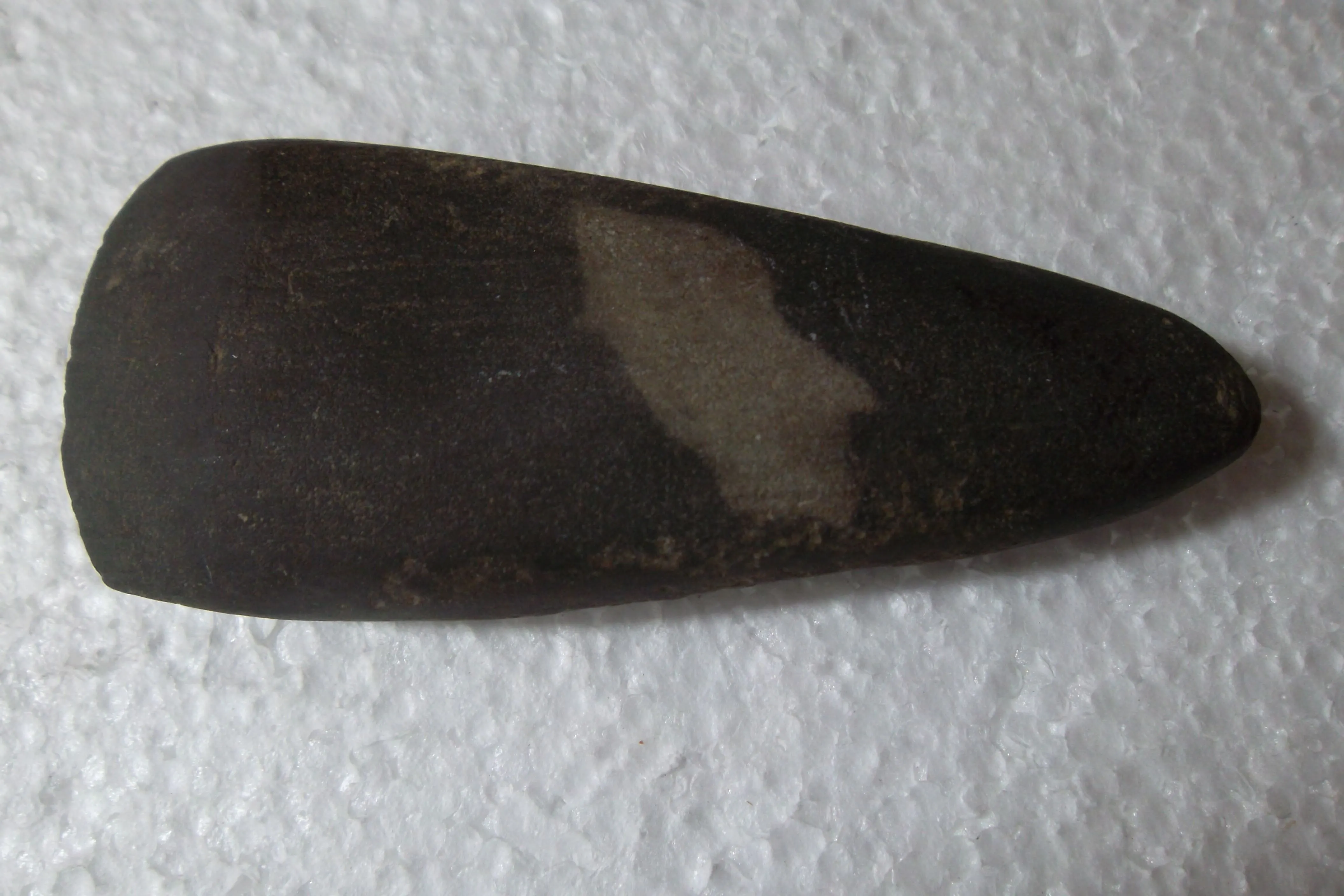 SAM 0971