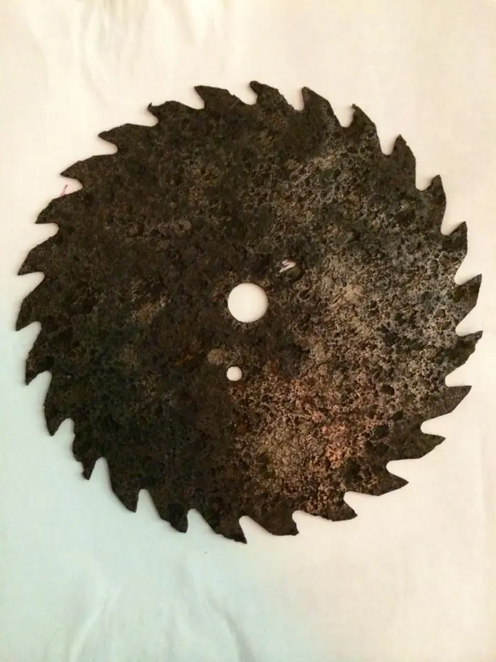 Saw Blade, Lawton House, Oviedo, FL