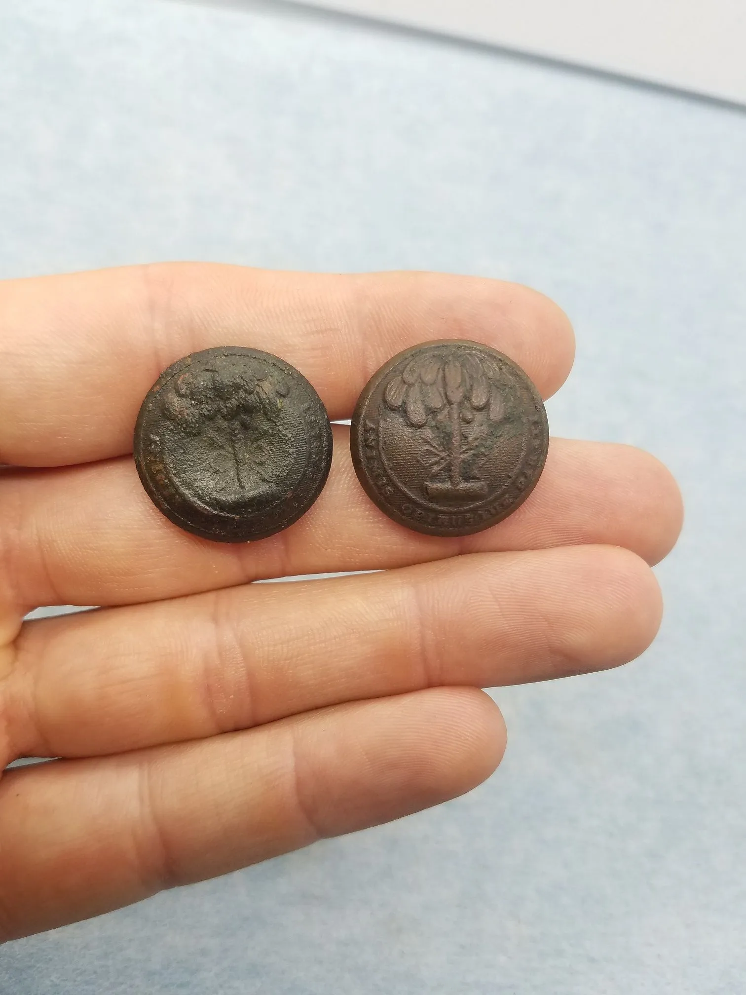 SC militia coat buttons (Horstmann and Smith)