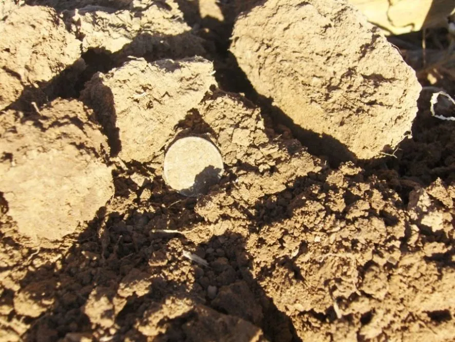 Seated Silver in the Dirt - 2007.