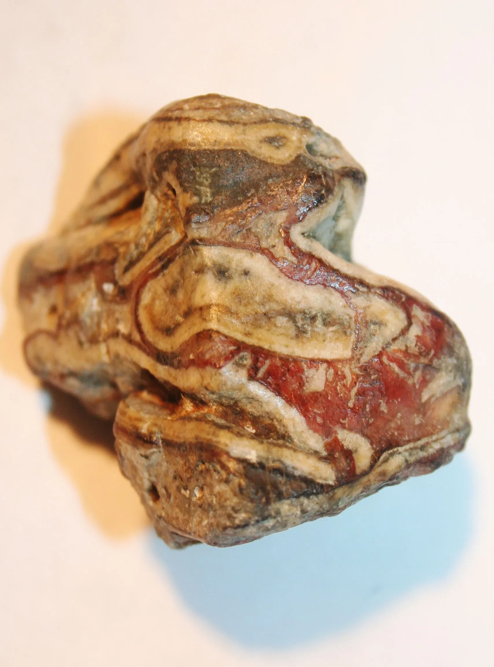septarian nodules
