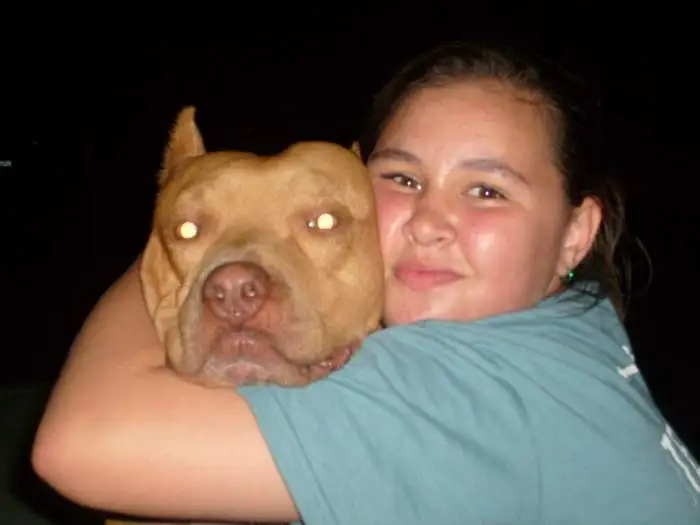 shelby and Dred - This is my daughter Shelby and the best dog i ever had. He passed away 
January 8,2009 at the young age of 4 years old. he is still 