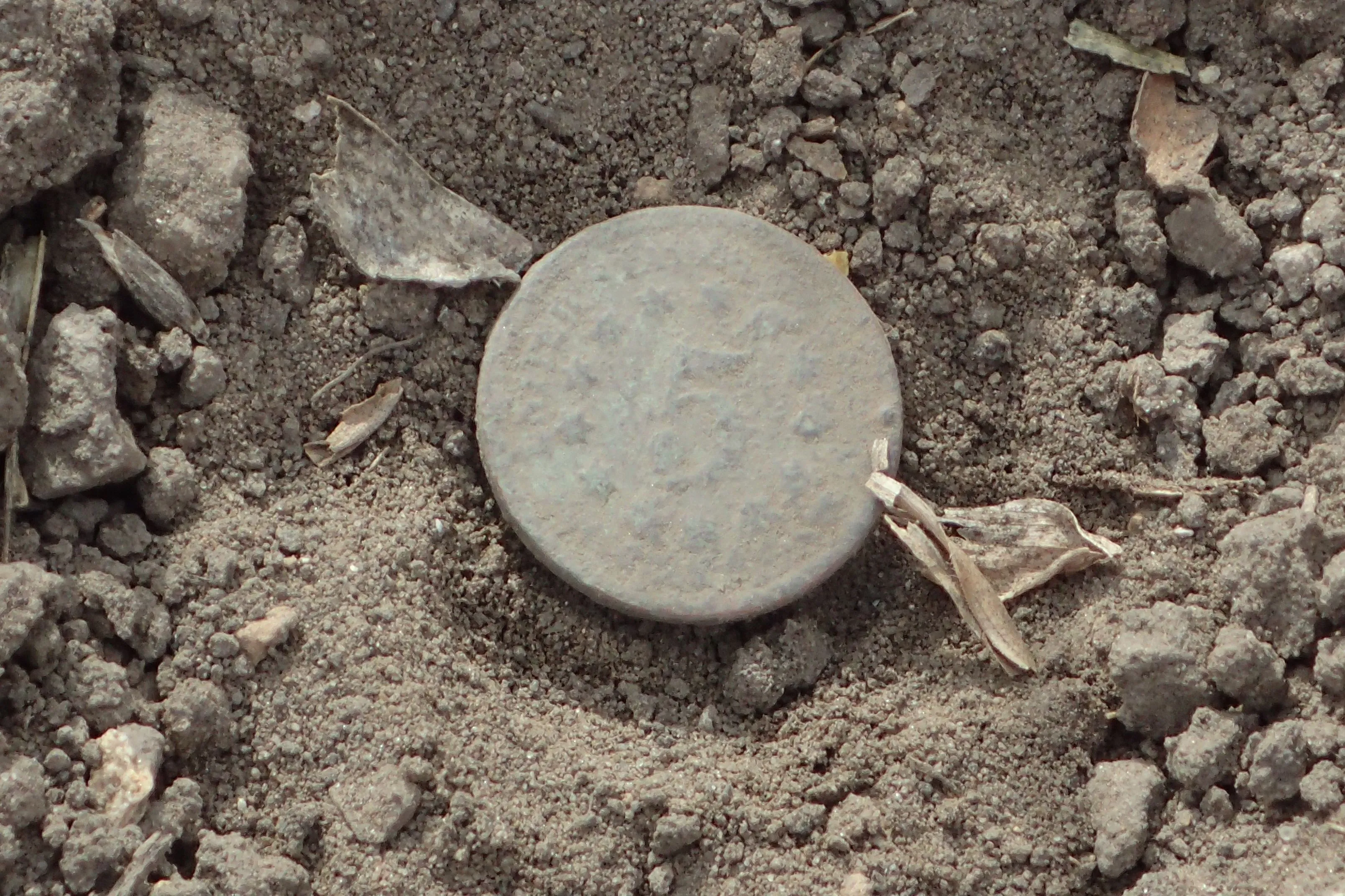 Shield Nickel Sunday 006