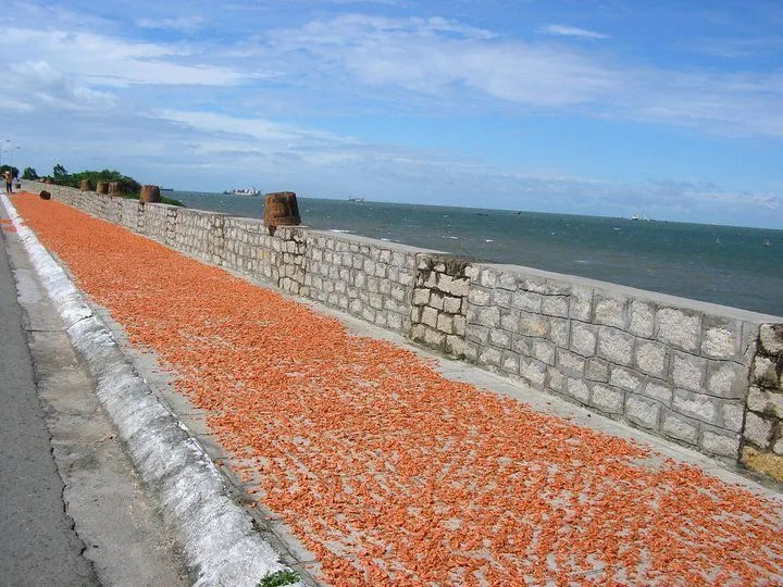 Shrimp drying in the sun.

Vung Tau, Vietnam