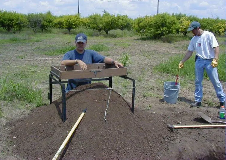 Sifting a peach orchard for artifacts.