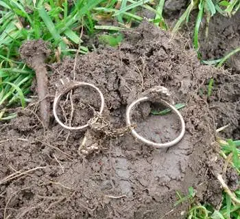 Silver & Gold in Same Hole - In my own backyard Oshawa, ON