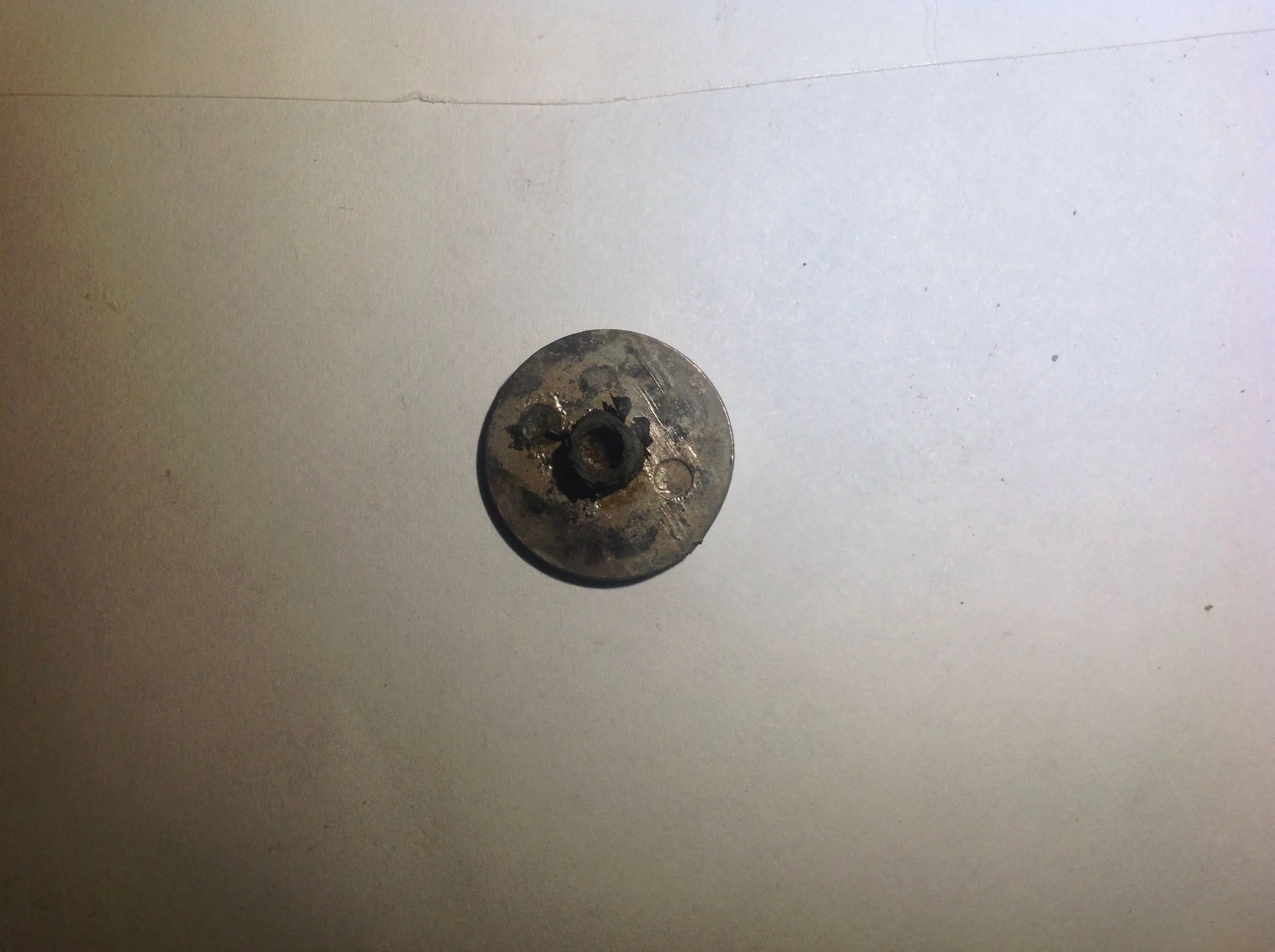 Silver plated concha