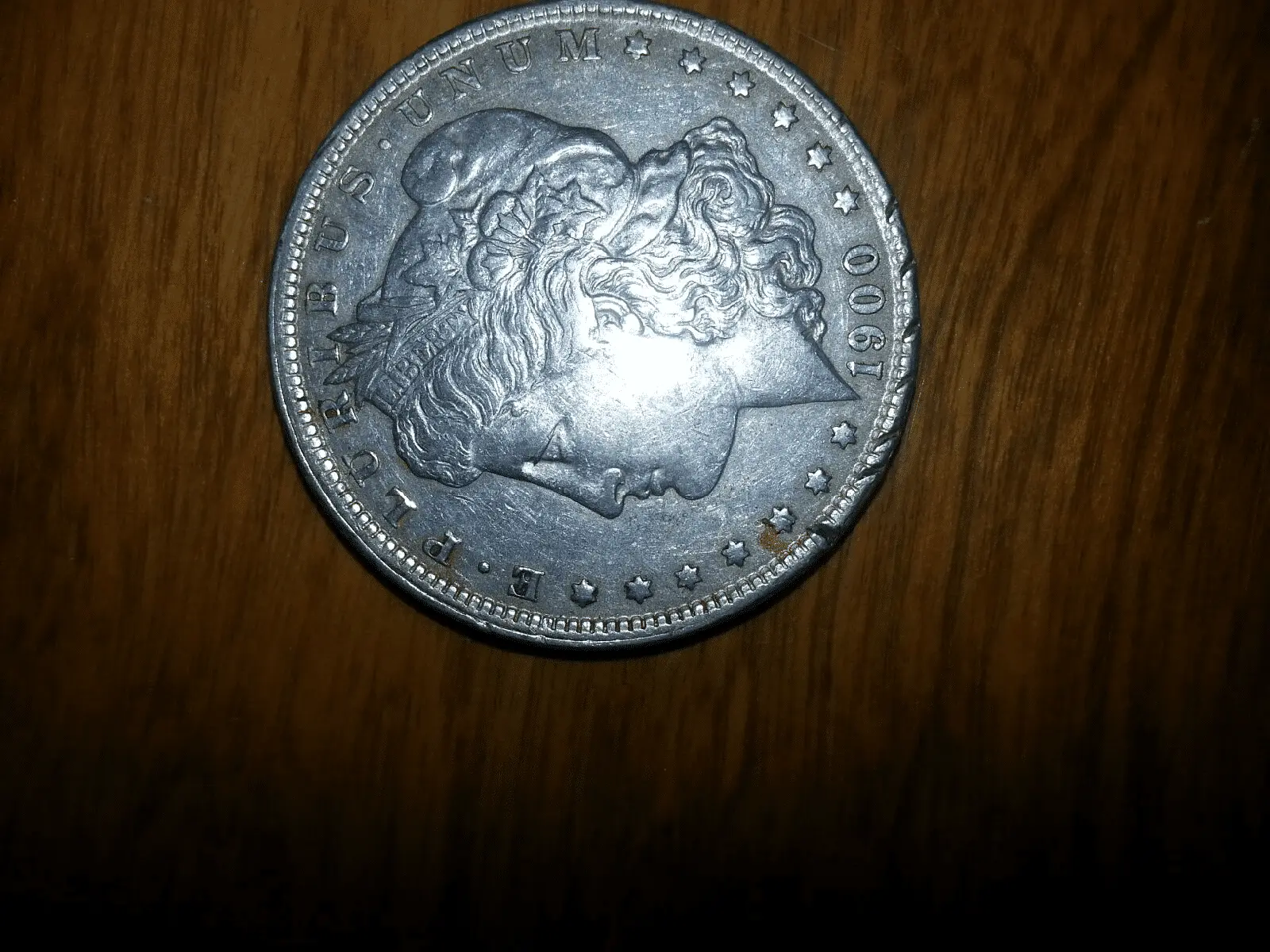 silvrdollars2