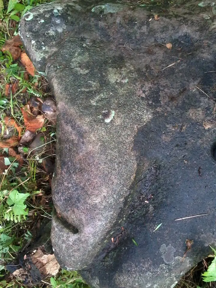 site 2: marker