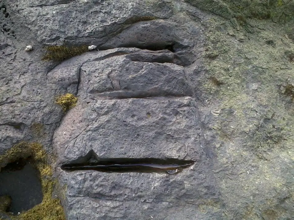 site 3:marker