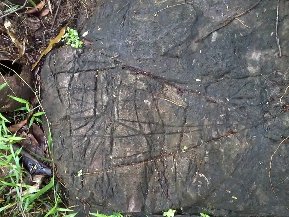 site 3: marker