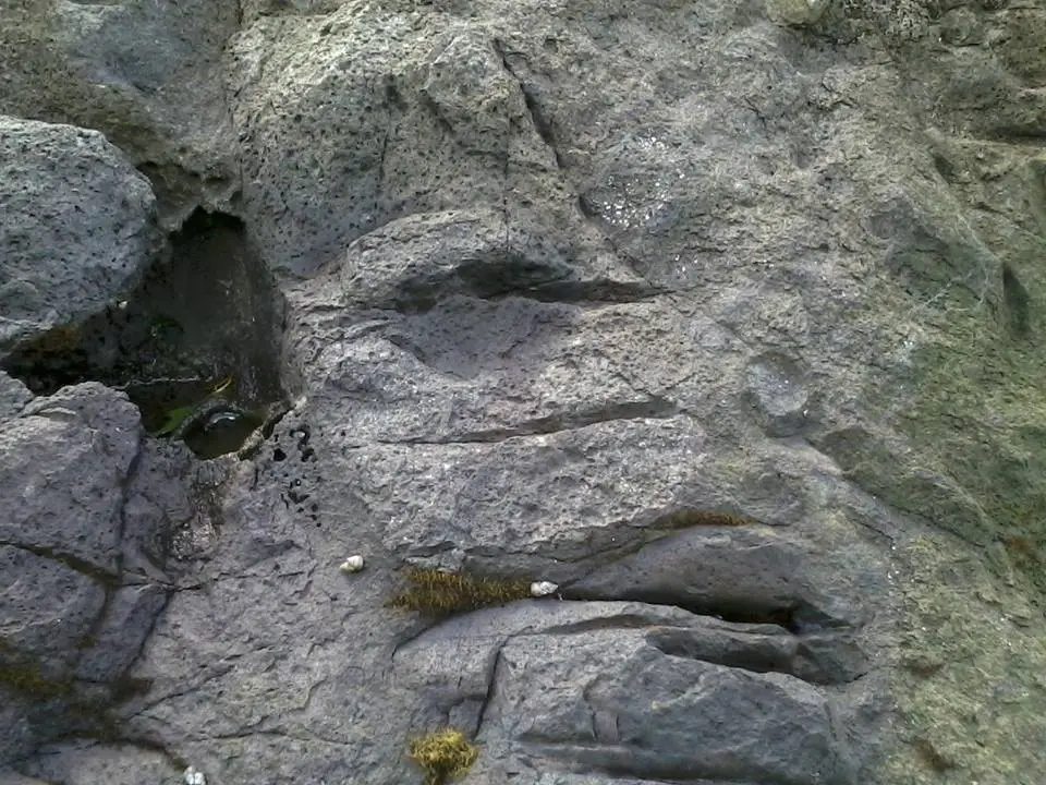site 3: marker