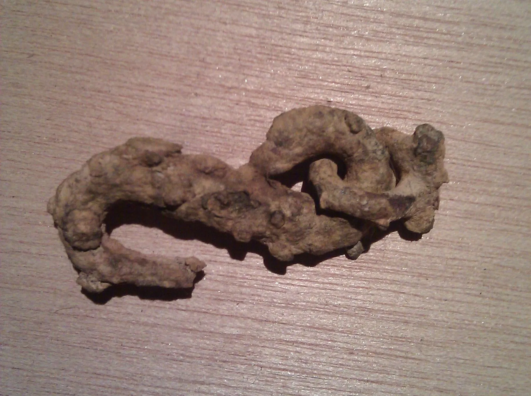 snake head buckle