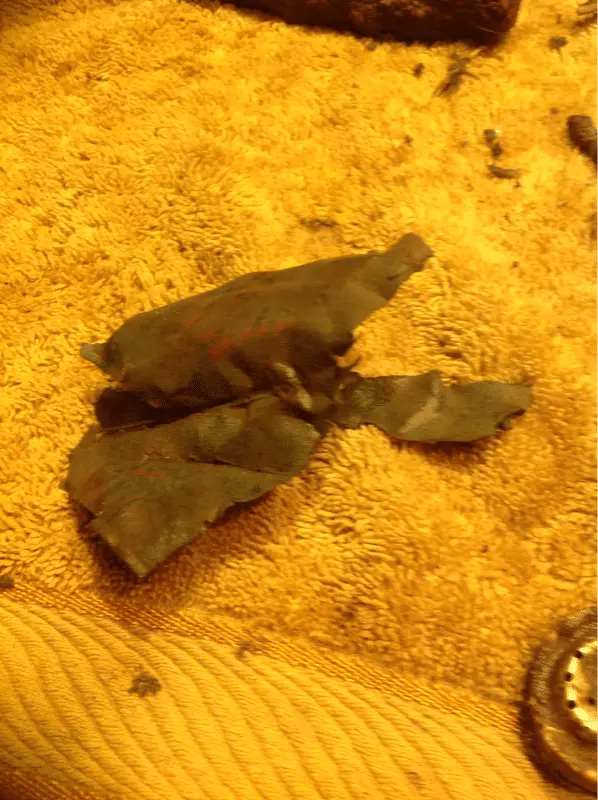 Some kind of copper
