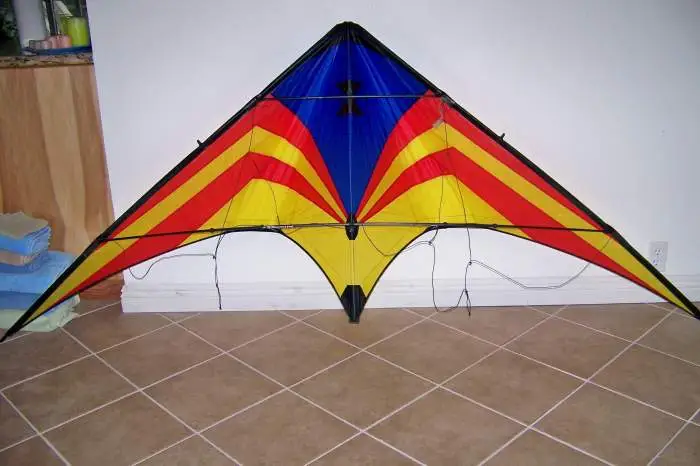 Stunt Kite