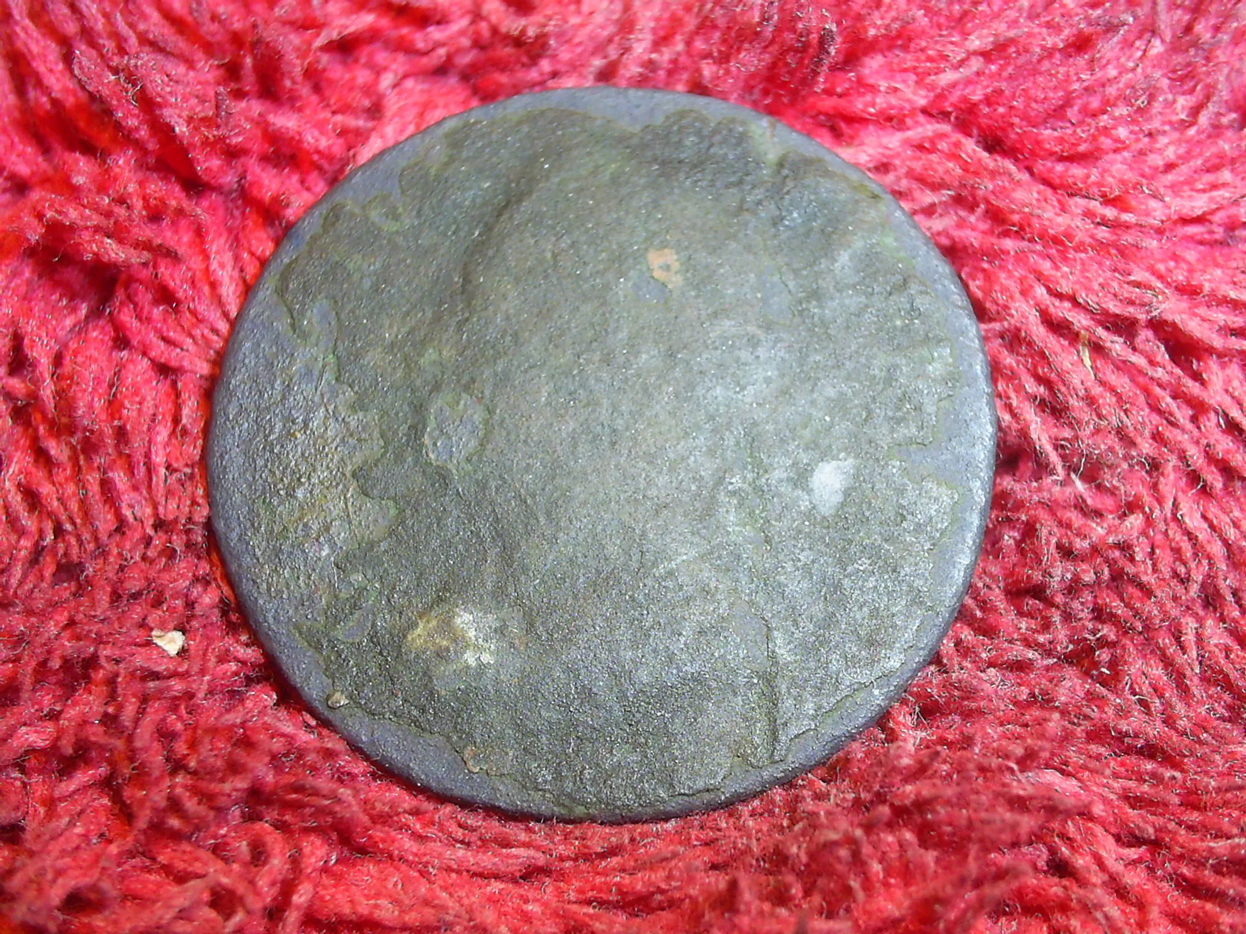 SUC50022
