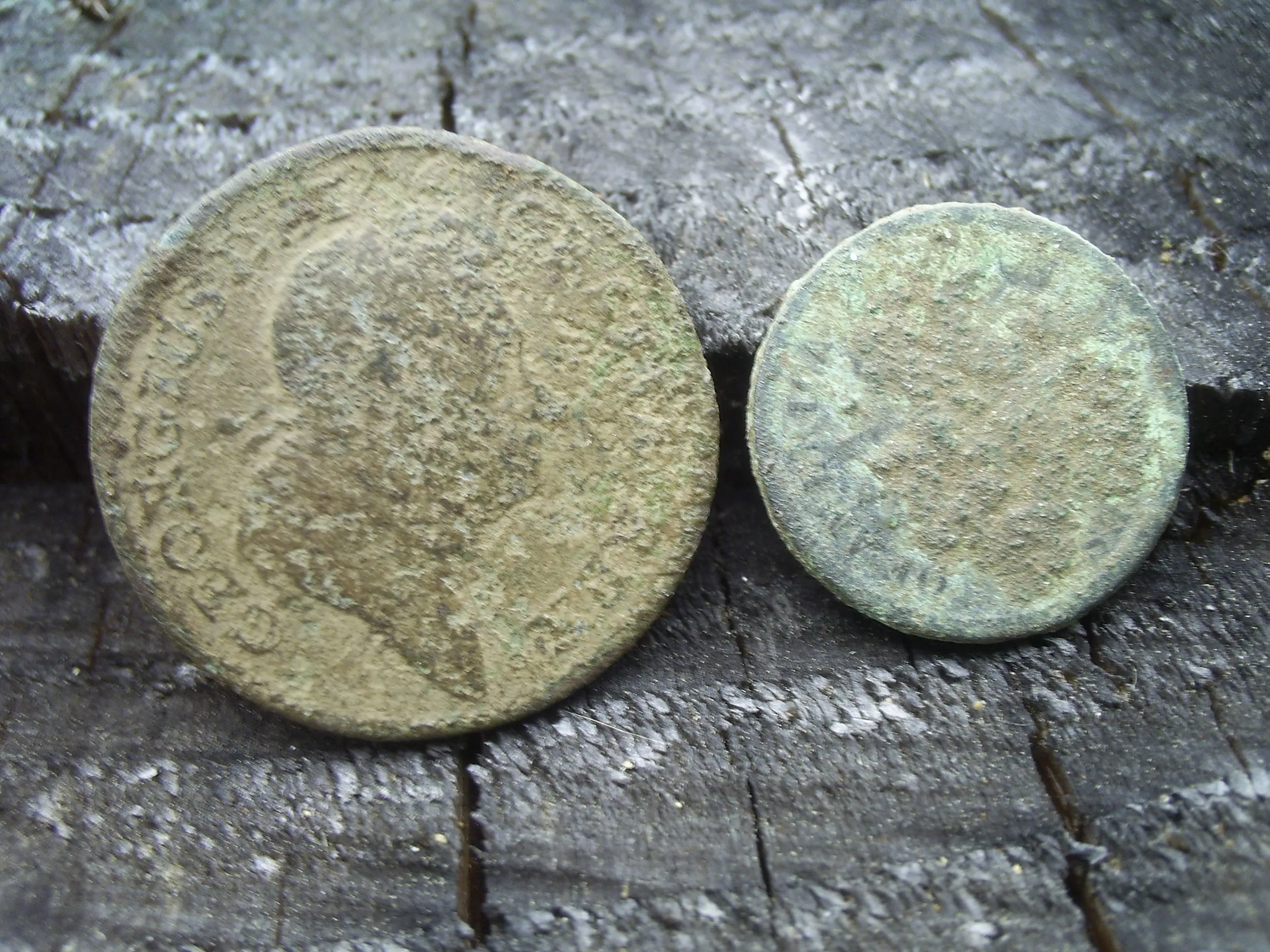 SUC50032