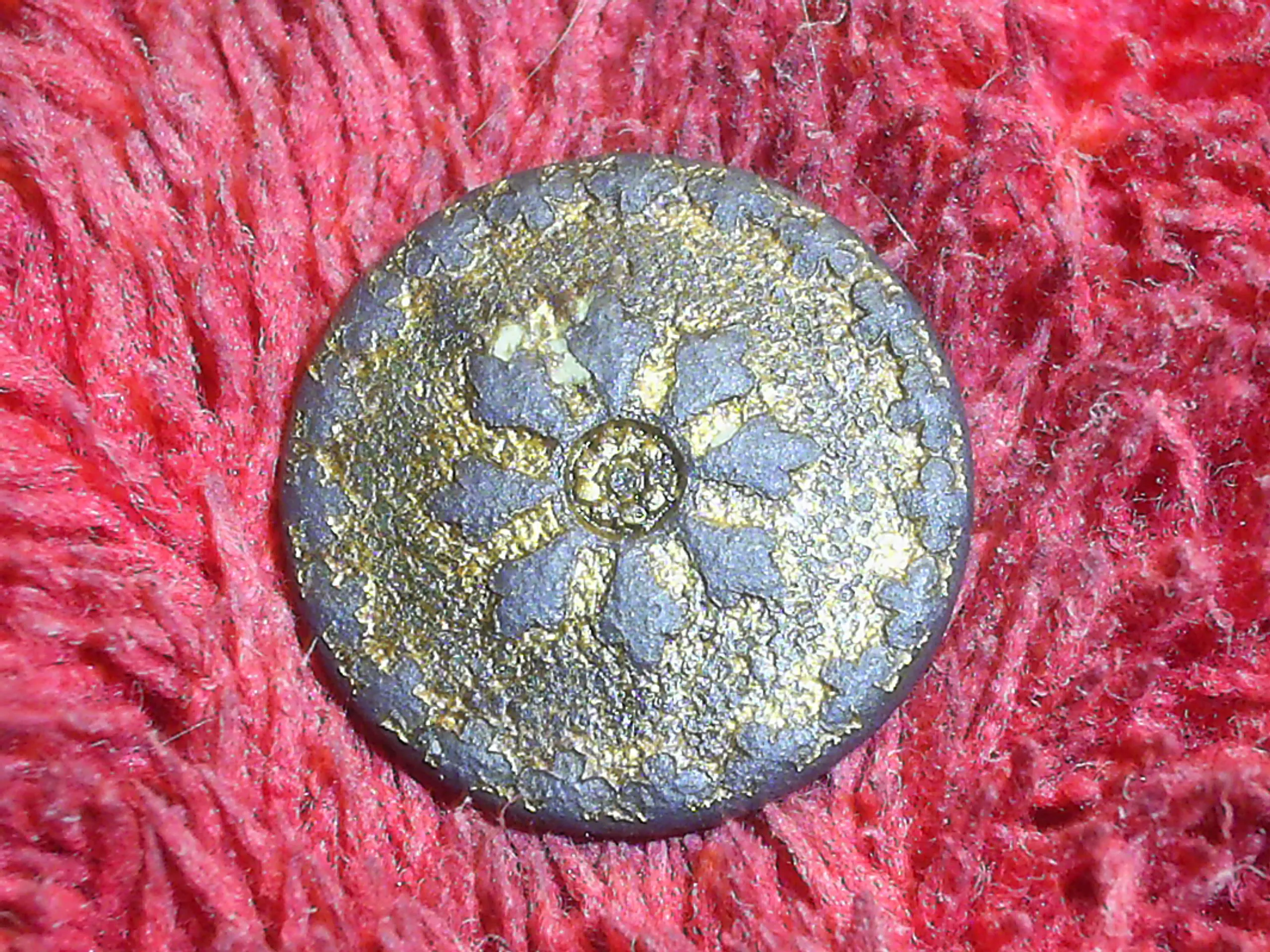 SUC50043