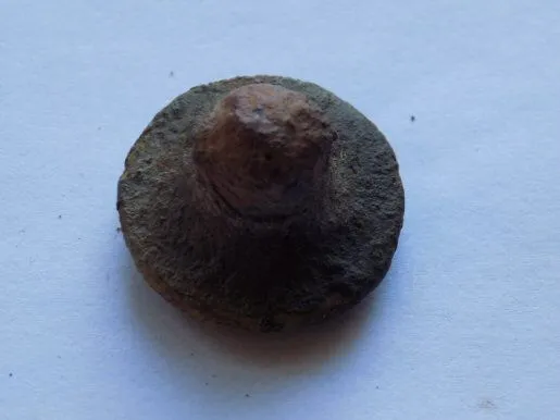 sunday 25/09/16

condition = ok
some kind of bolt