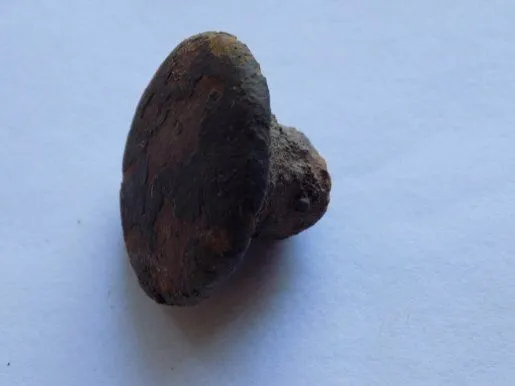 sunday 25/09/16

condition = ok
some kind of bolt