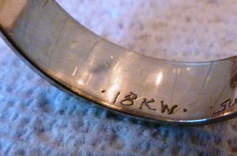 suny81613 014