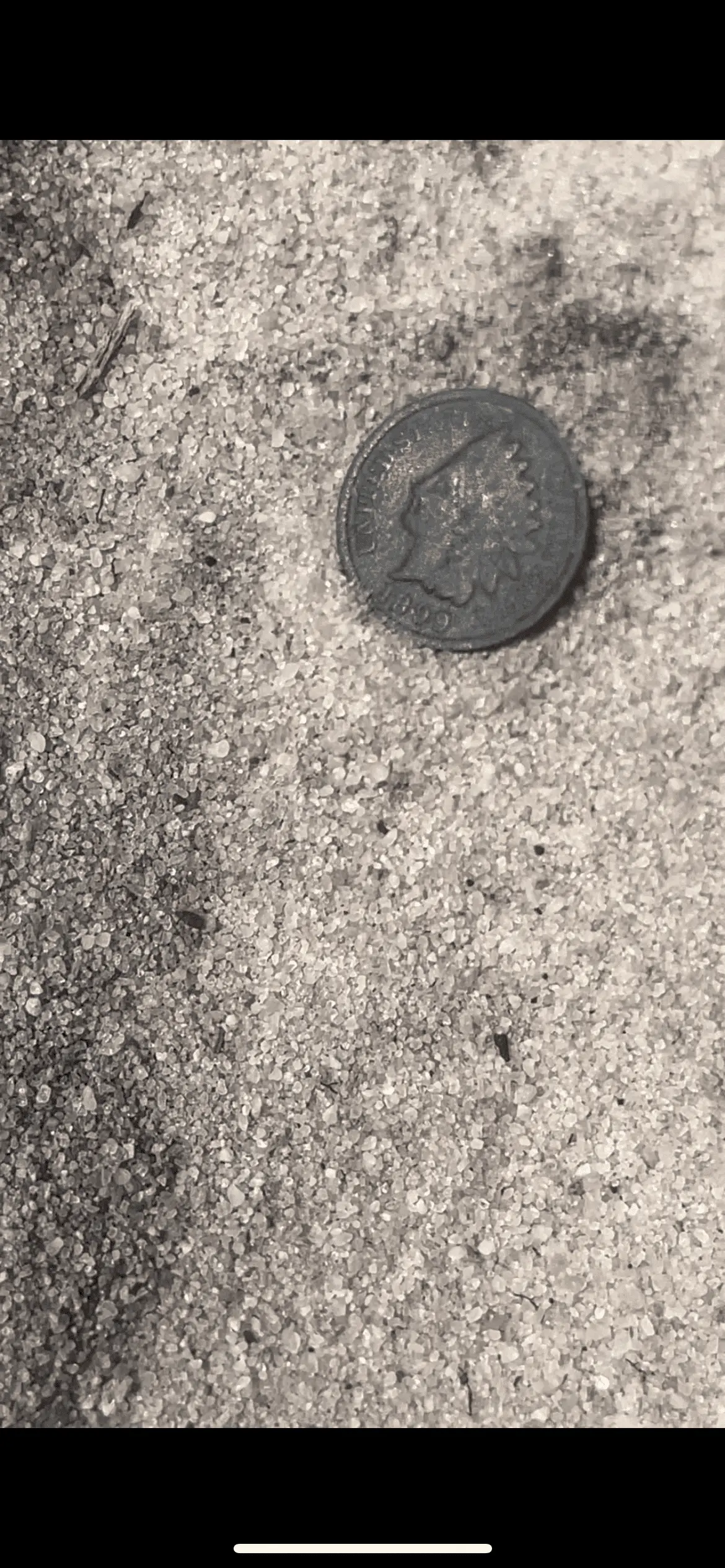 Surface find! (1899) Indian head cent