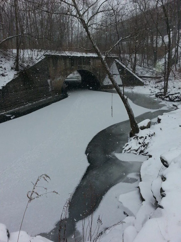 Swimming and fishing hole. Winter detecting is awesome. No mosquitos, no ticks, and no venomous snakes