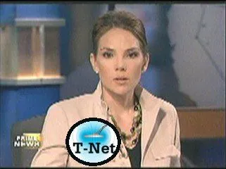 T-Net 2 - Erica Hill demo