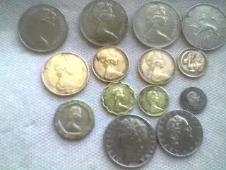 these  were all   found  together !   dont know  why  they were   all near  eachother...   fort  pierce,    florida
