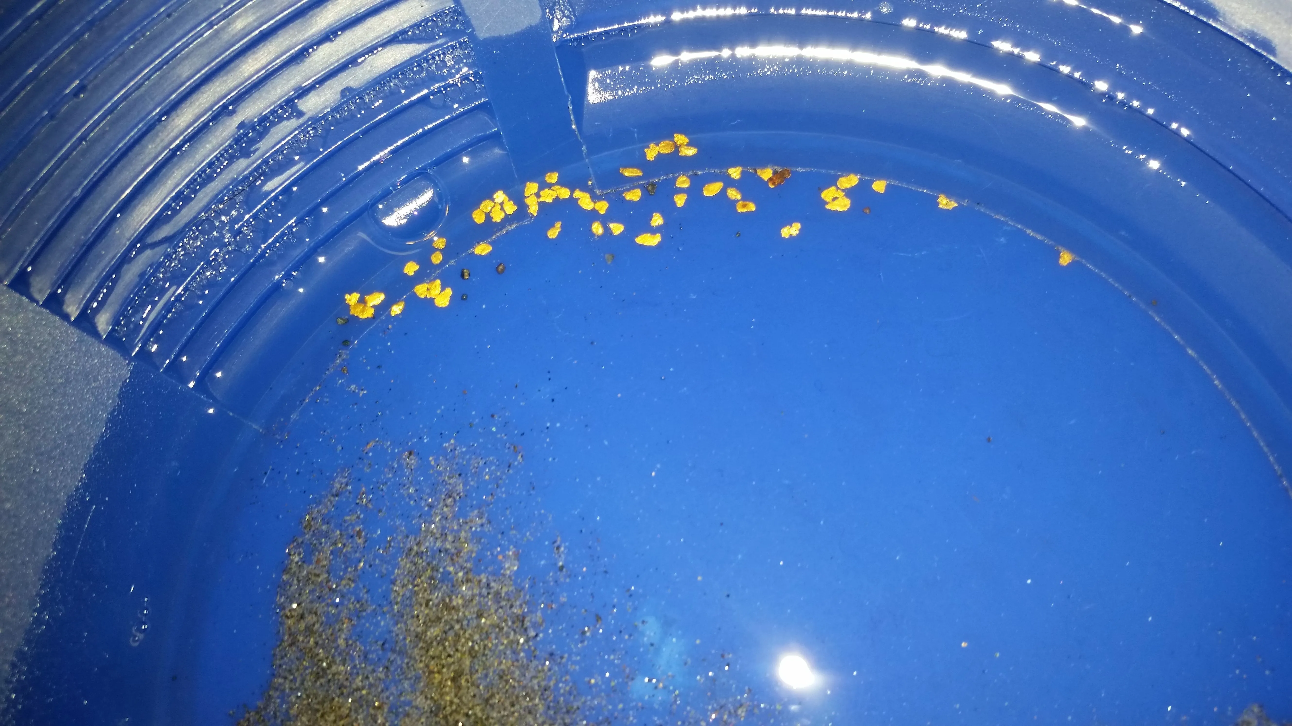 This is what I found in my new spot.