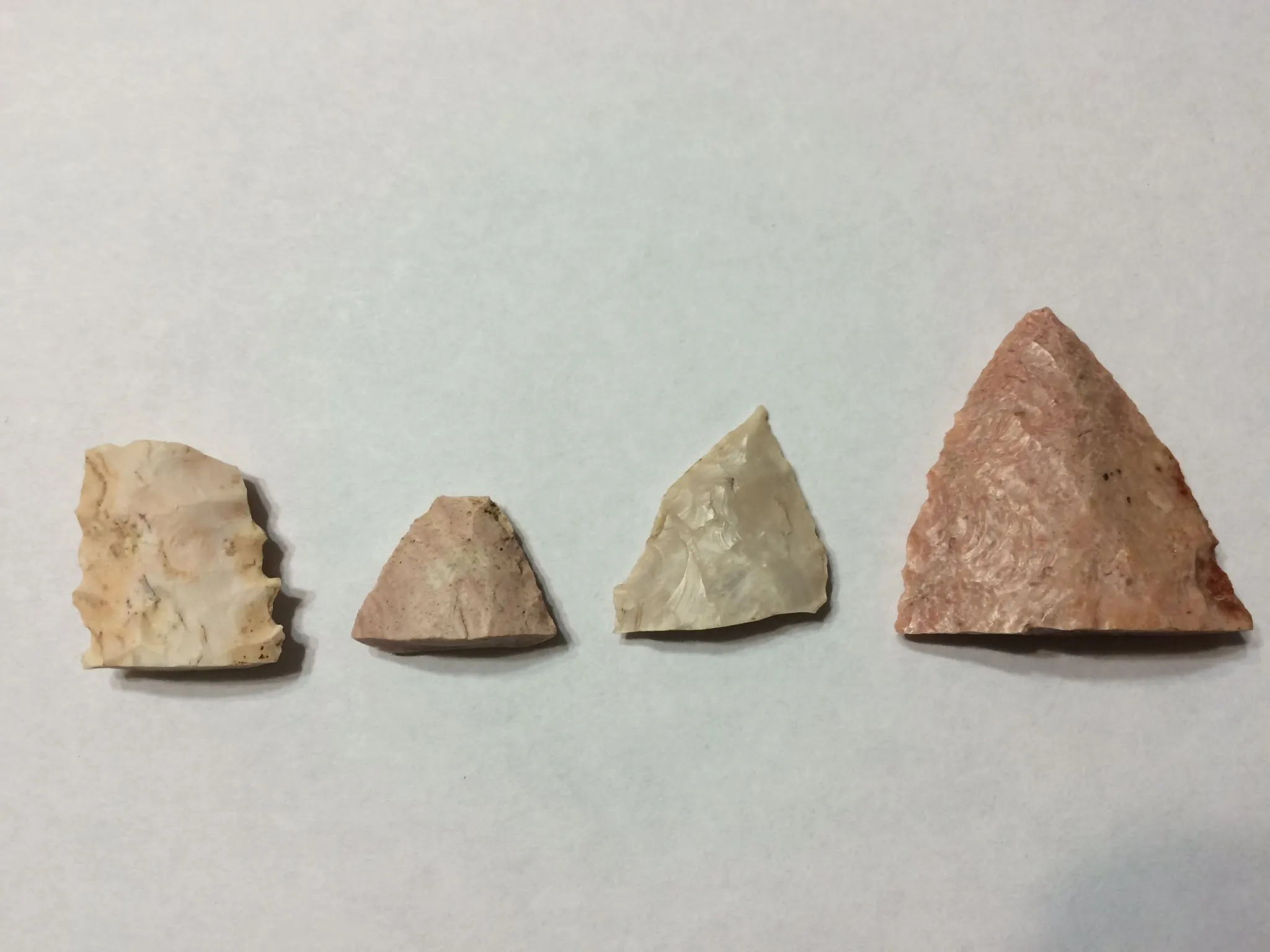 Tips and mid-section, 6 acre field
