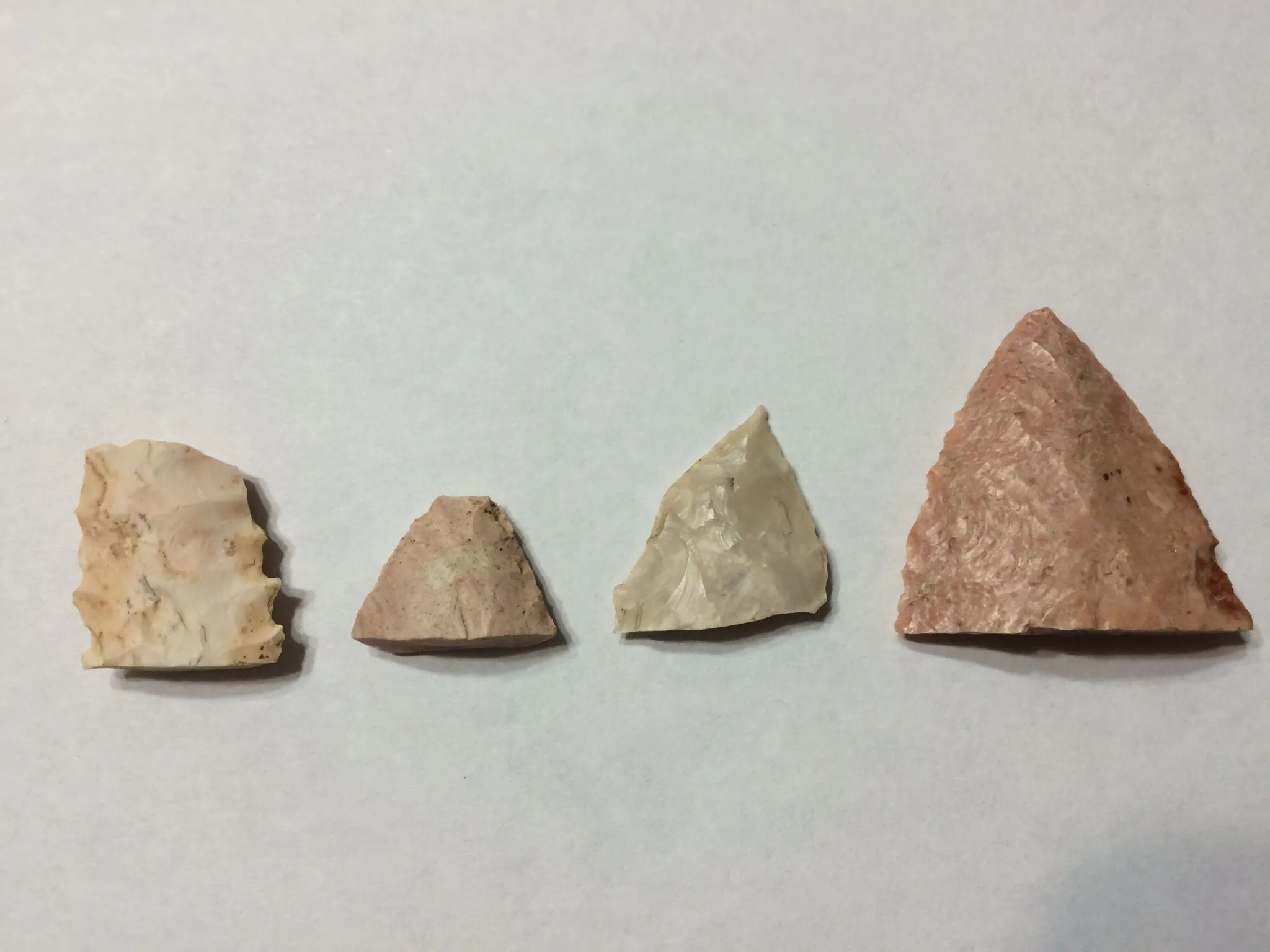 Tips
Swiss, MO