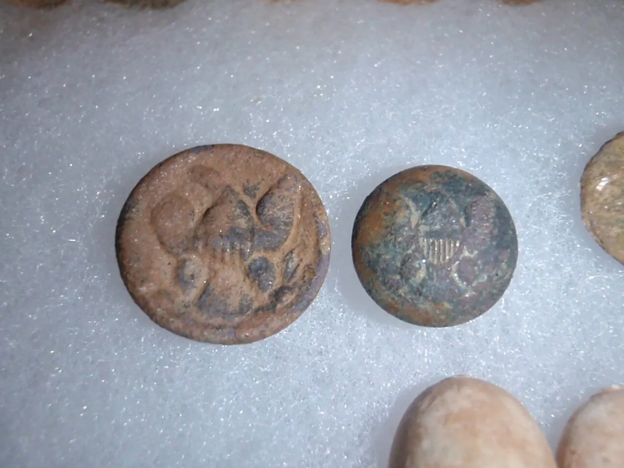 todays finds 1