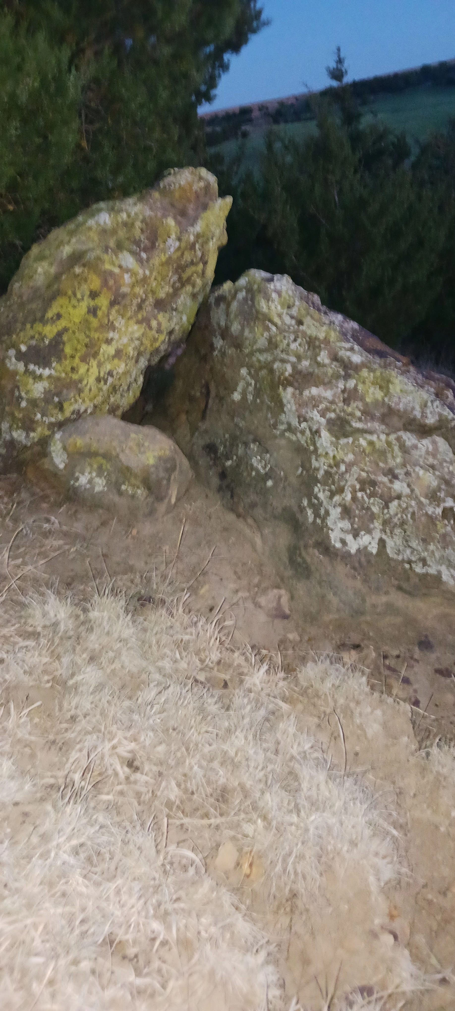Top of large mound.webp