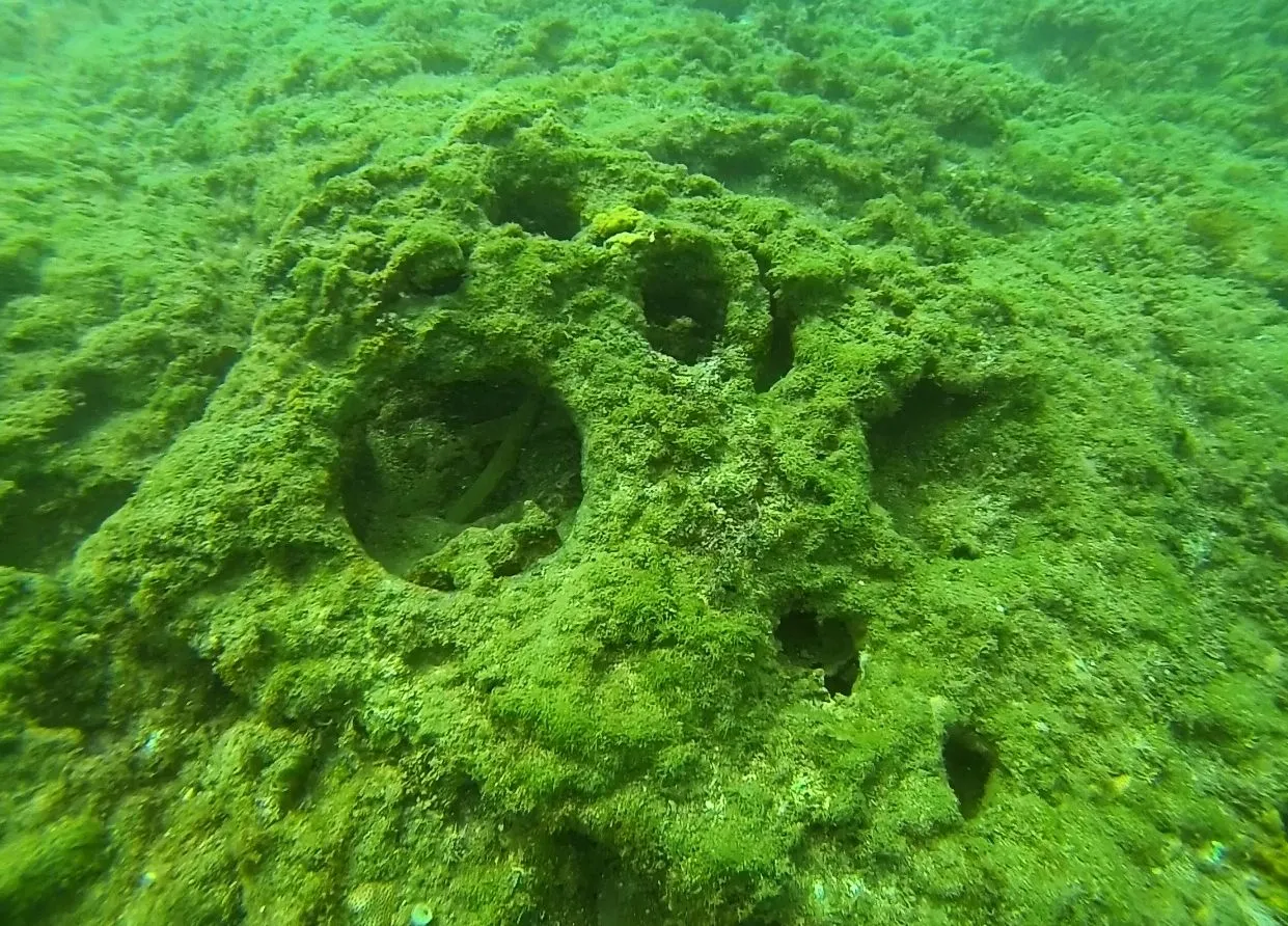 top of reef 2M