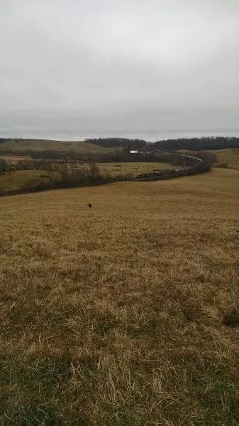 train