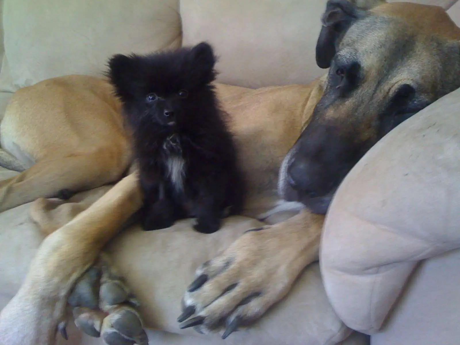Tucker & Jersey