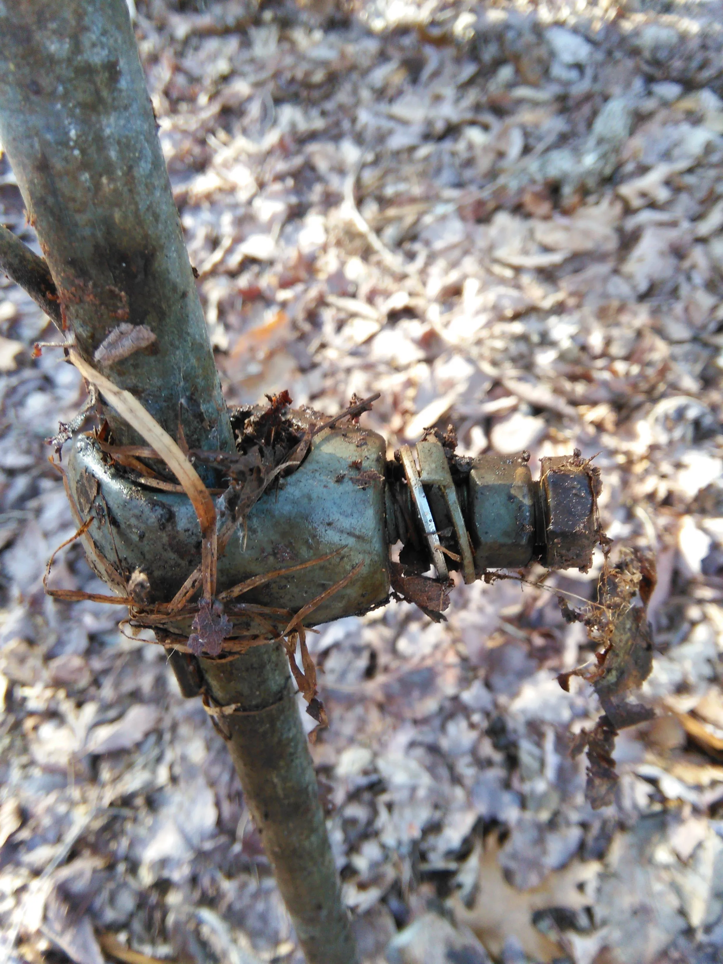 Upclose of the grounding rods slider adjustment.