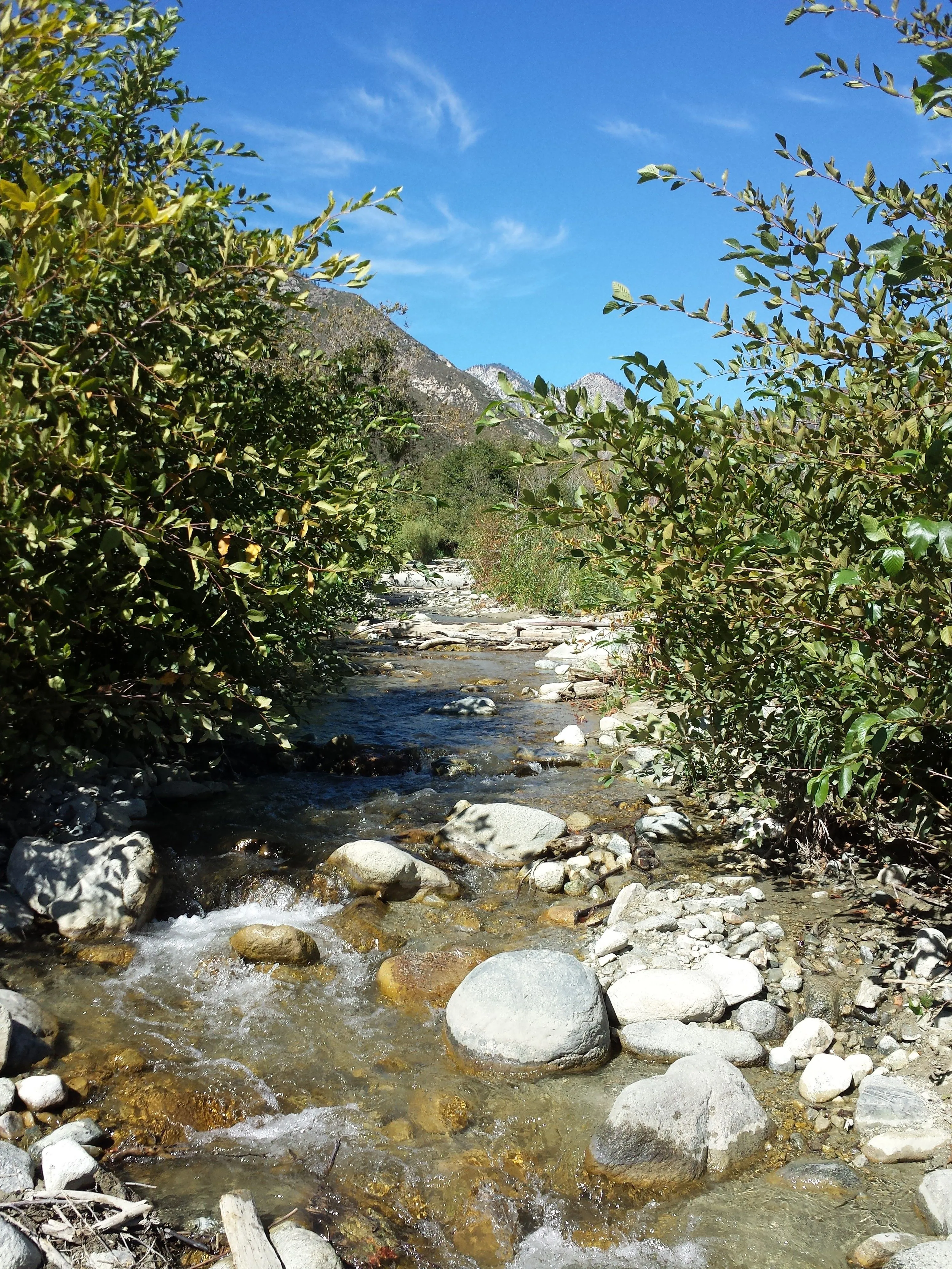 Upstream View