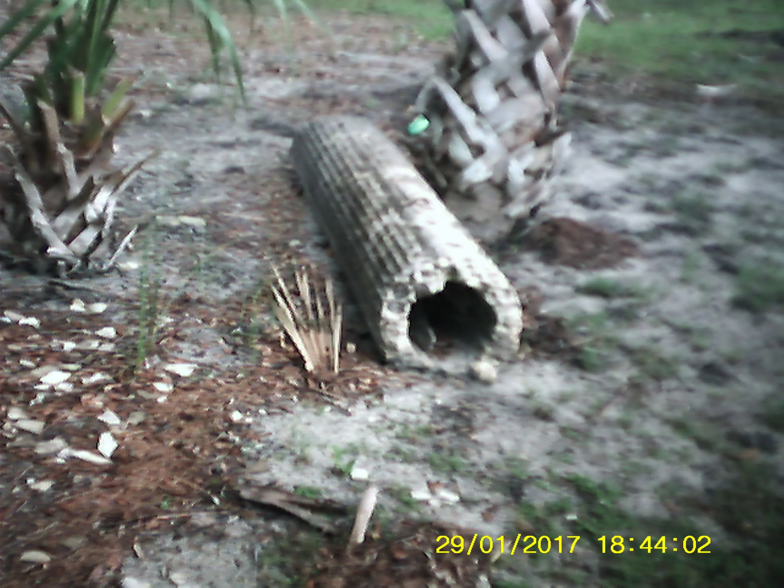 wakulla beach