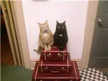 we're watching