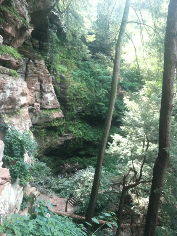 What a view