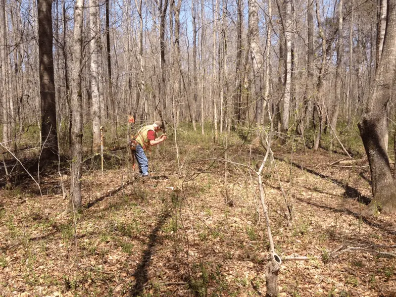 Where I love to be,in the woods