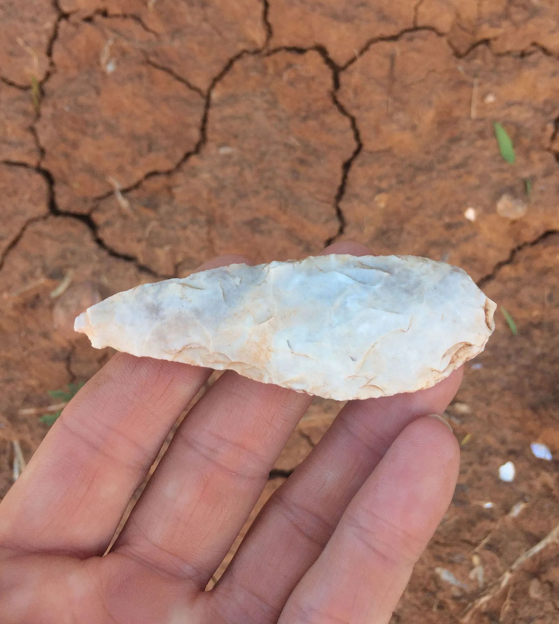 White Blade from Ballinger, TX