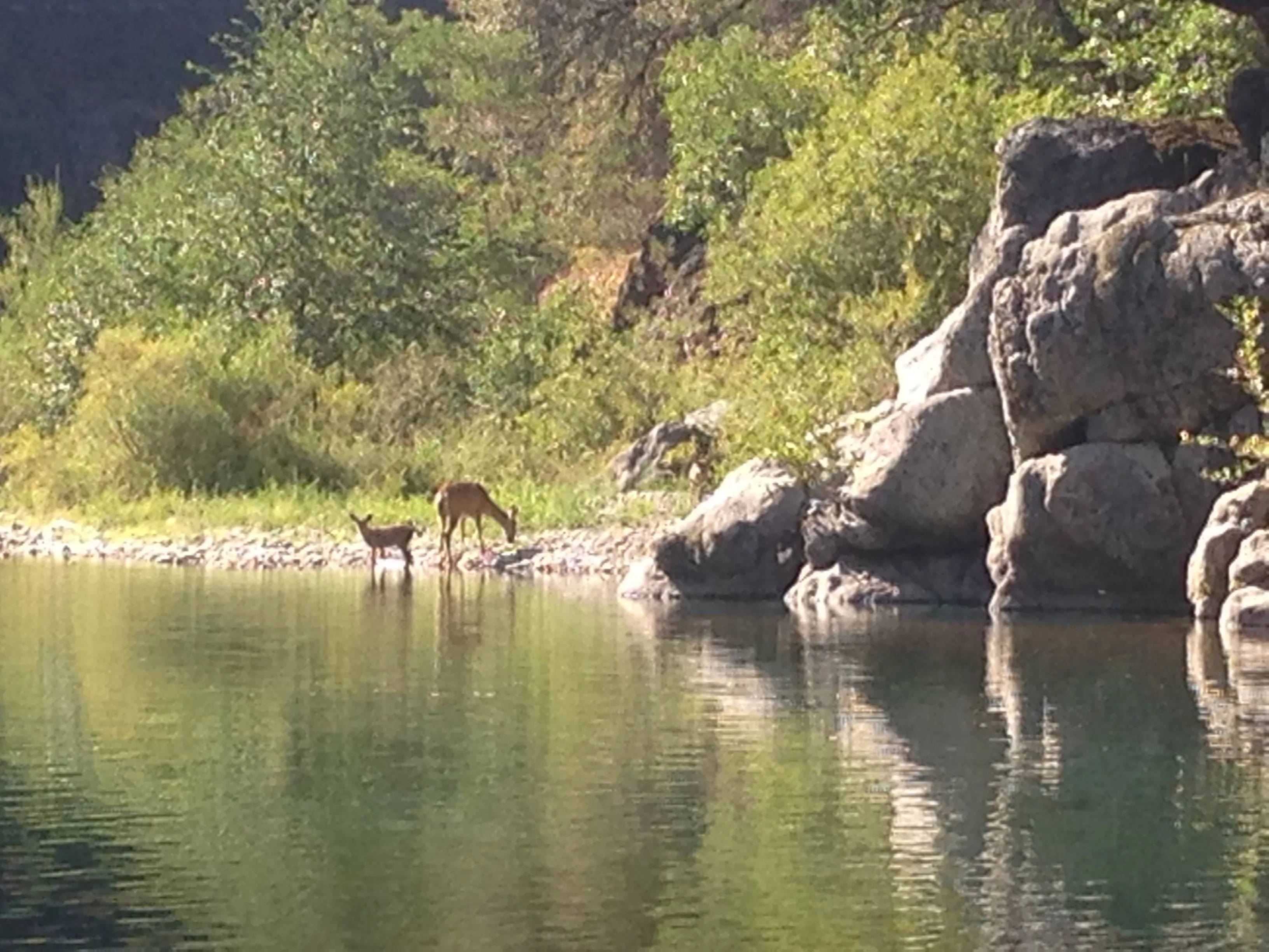 Yuba River Downieville Ca.