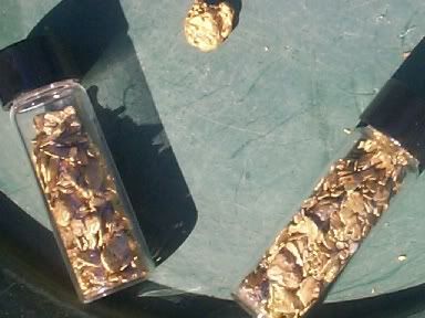 IMAGE9jpgdredgegoldandnugget.jpg