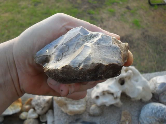 SDC10171.jpg