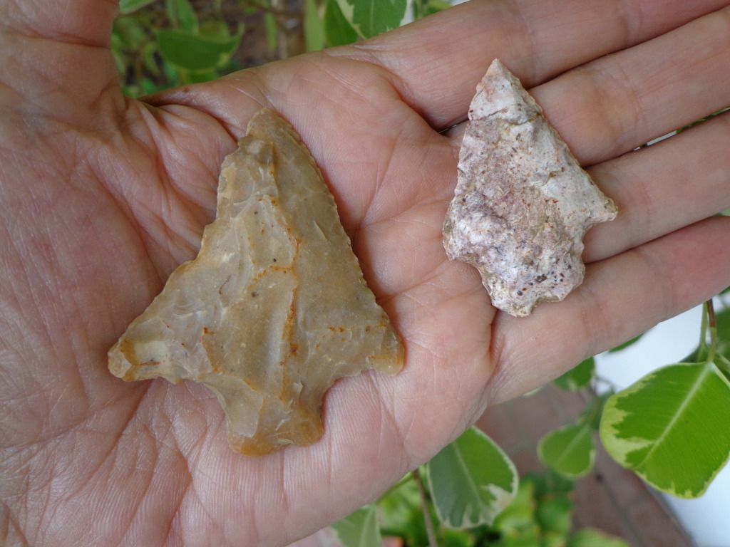 DSC00251.jpg
