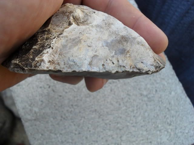SDC10395.jpg